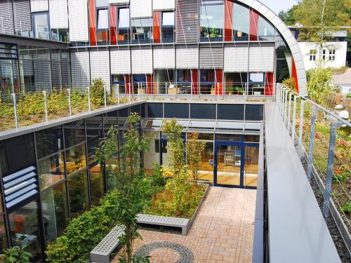 Roof garden and green courtyard